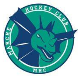 Here should come the club logo