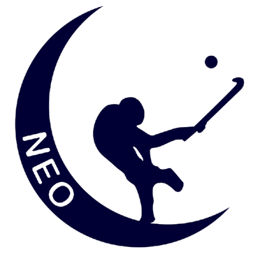 Here should come the club logo