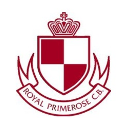 Here should come the club logo